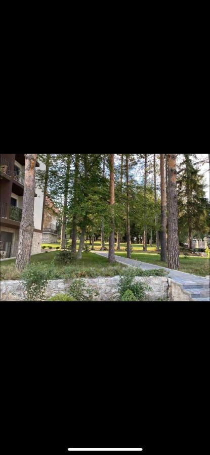 Apartment Titova Mountain View